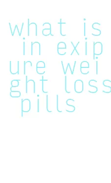 what is in exipure weight loss pills