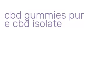 cbd gummies pure cbd isolate