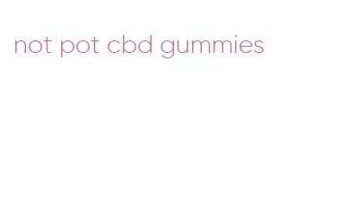 not pot cbd gummies