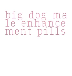 big dog male enhancement pills