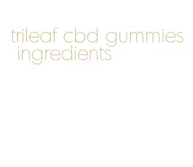 trileaf cbd gummies ingredients