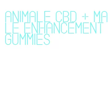 animale cbd + male enhancement gummies