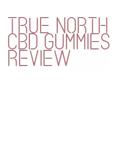 true north cbd gummies review