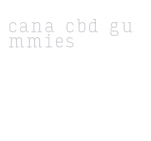 cana cbd gummies