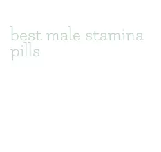 best male stamina pills