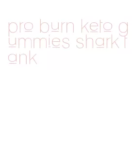 pro burn keto gummies shark tank