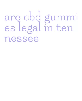 are cbd gummies legal in tennessee