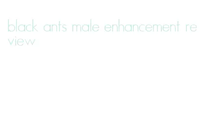 black ants male enhancement review