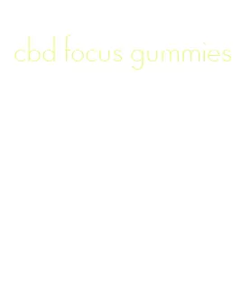 cbd focus gummies