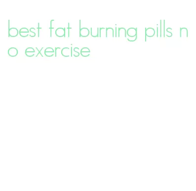 best fat burning pills no exercise