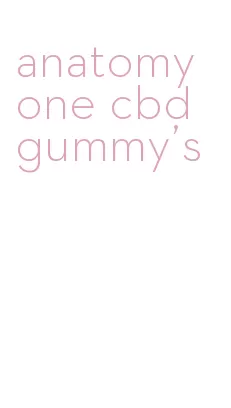 anatomy one cbd gummy's