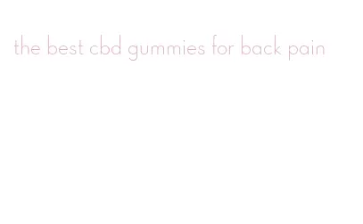 the best cbd gummies for back pain