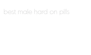 best male hard on pills