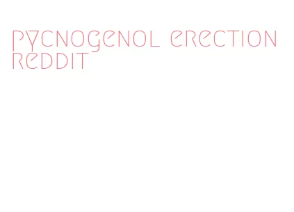 pycnogenol erection reddit