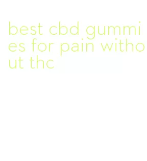 best cbd gummies for pain without thc