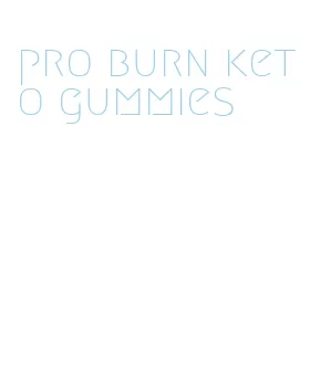 pro burn keto gummies