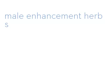 male enhancement herbs